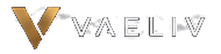 VAELIV — Building Intelligent Operations.